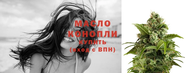 скорость Гусев