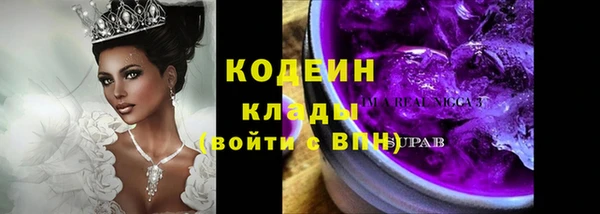 скорость Гусев