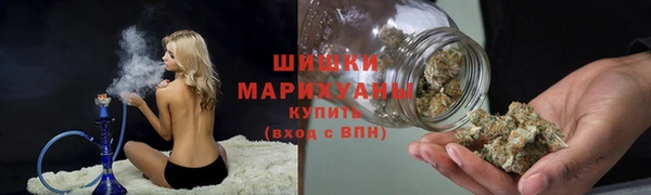 скорость Гусев