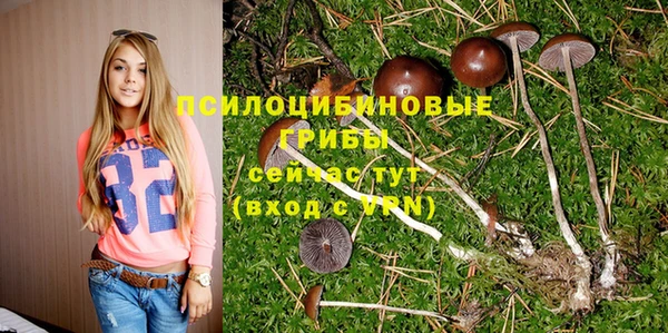 скорость Гусев