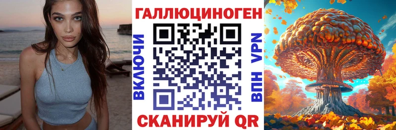 как найти закладки Иноземцево Псилоцибиновые грибы Psilocybe